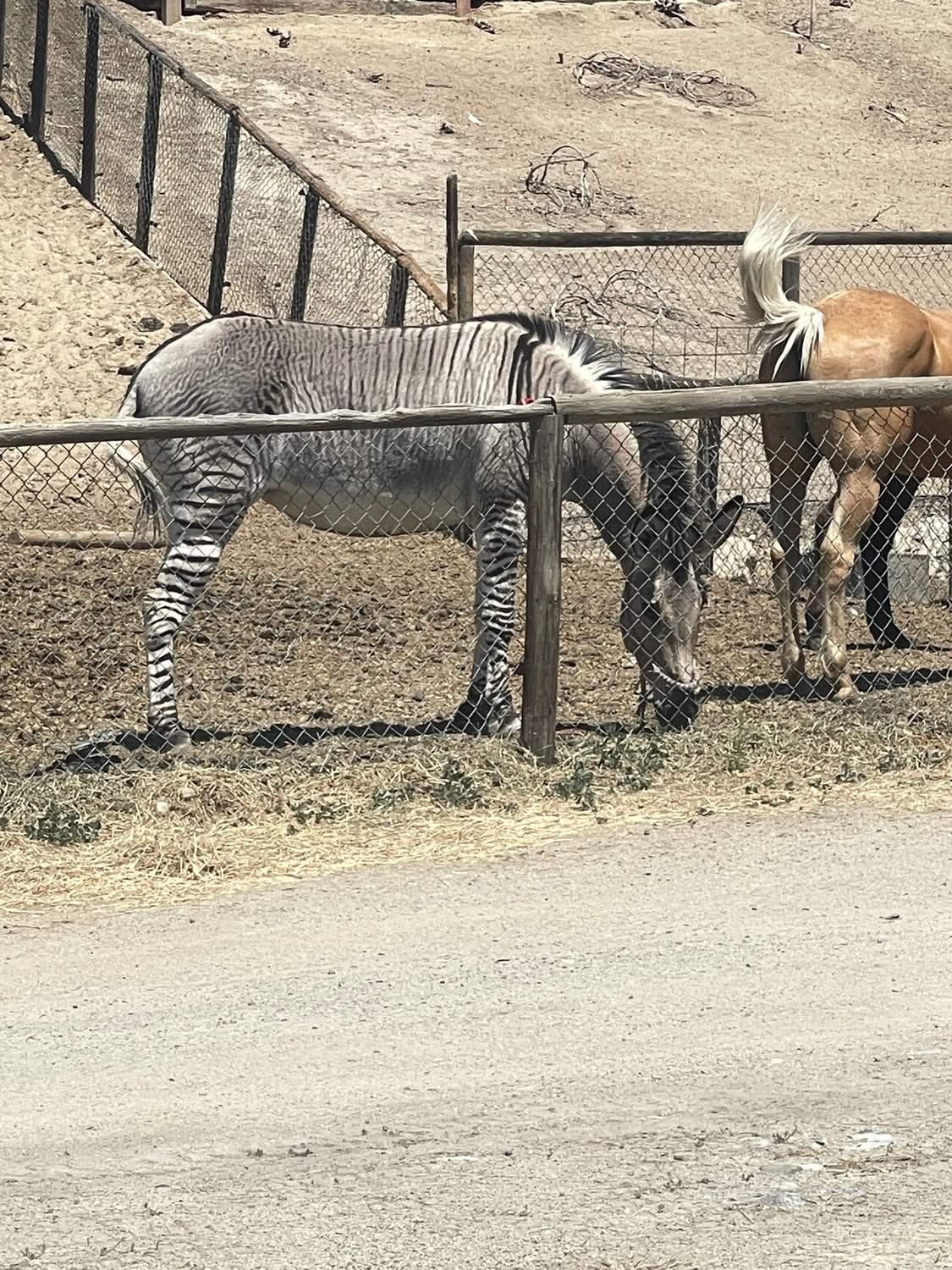 Day 9 – Winthrop to Omak