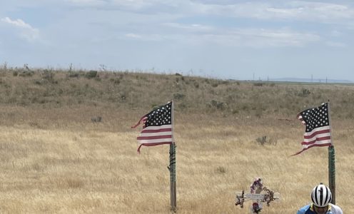 Waves of silver sunlight stopped me, breathless in my tracks.